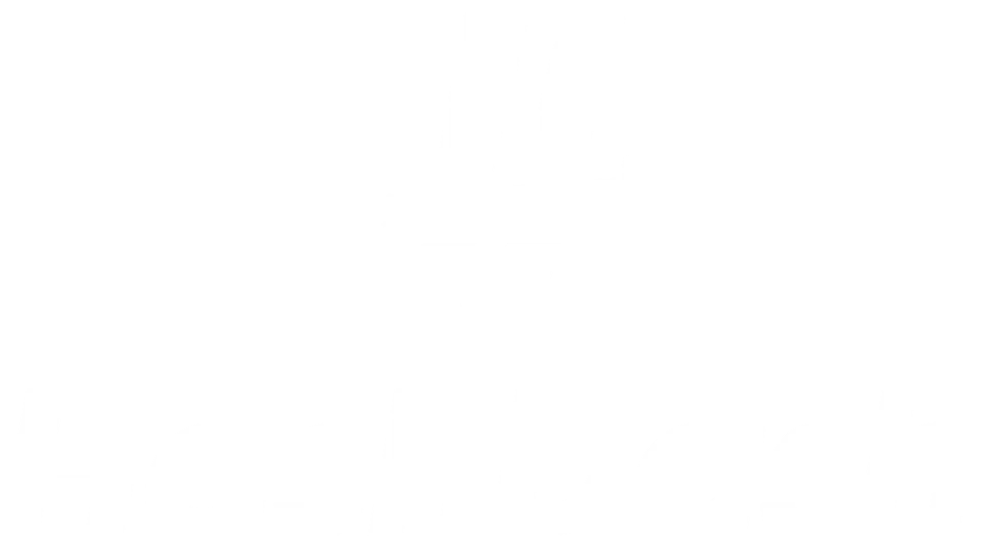 hashdash logo black and white
